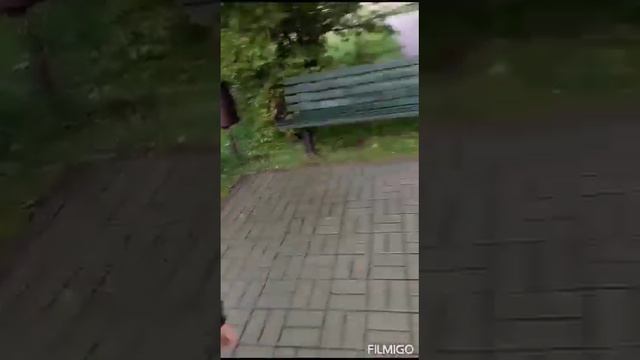 Спасение дикого голубоглазого котёнка.