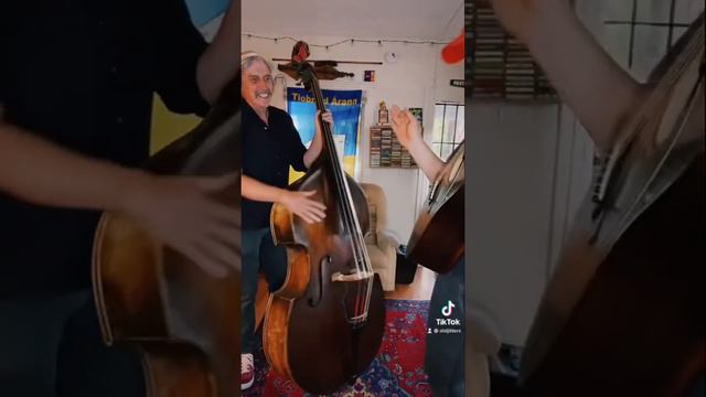 Czech Bass VS Thompson Guitar !