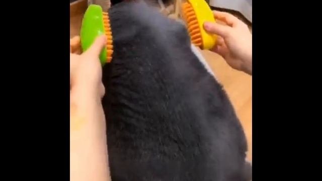 Щетка