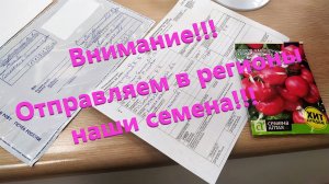 Отправка семян томатов в регионы. Эксперимент продолжается!
