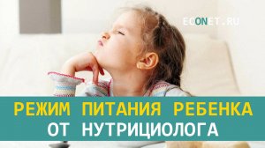 Режим питания ребенка от нутрициолога