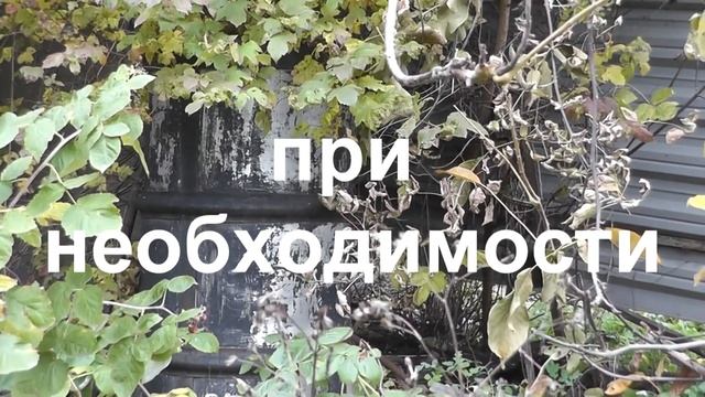 Отключили воду, куда бежать. ФИЛЬТР для очистки воды при выживании. смотреть онлайн