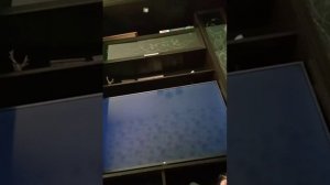 Как попасть под текстуры в гта5