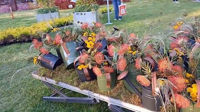 Ярмарка цветов в Болгарии, Климат Болгарии, Погода в Болгарии, Бургас, Цветы