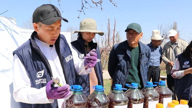 Практикалык Семинар "Карагат, малина өстүрүү жана көбөйтүү" смотреть онлайн