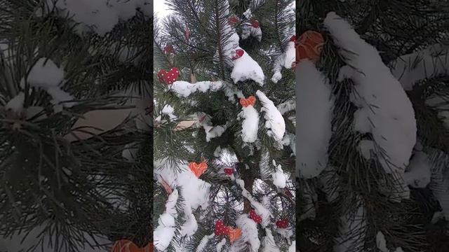 Поздравление на День Влюбленных смотреть онлайн