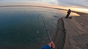 ЖЕРЕХ, РЫБАЛКА ОСЕНЬЮ, 2023 РЫБАЛКА НА Или,