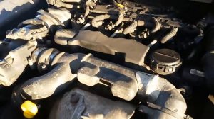 стук в моторе 1.6 hdi.mp4