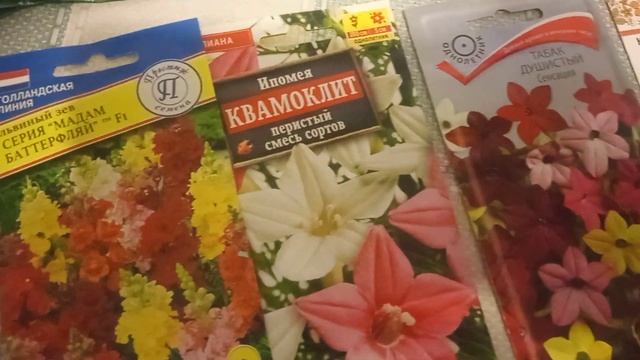 Что купила в Хит Сезона? смотреть онлайн