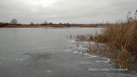 Турпоход 14.12.2019 Филатовские озера, Липецкая область