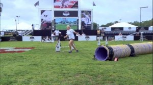 The 2021 Purina Pro Plan Incredible Dog Challenge 1st Place Results - Small Dog Agility Competition