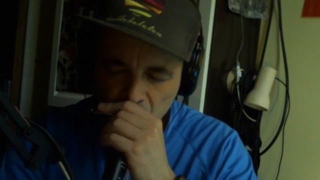 Lee Oskar A natural minor harmonica смотреть онлайн