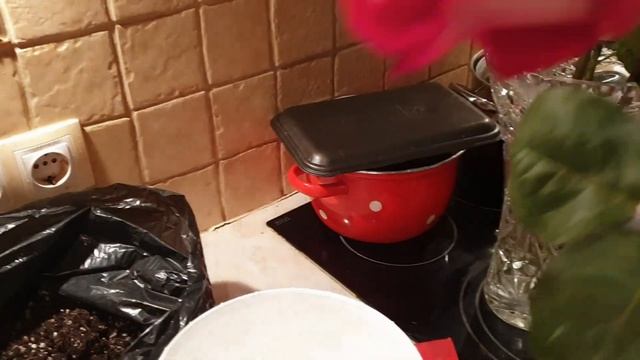 Болталка о главном,новости.Лайфхак Роза в картошке.Проращивание роз.Правда или нет?Подарок от бабул смотреть онлайн