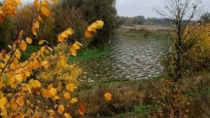 Что случилось.  Арина Чугайкина, ф -мма и исполнение Людмила Северинова