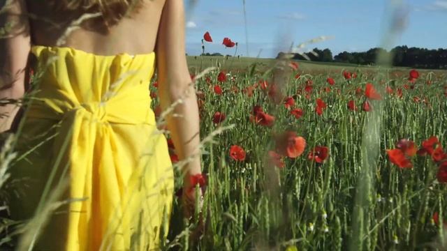 Девушка в поле футаж с музыкой смотреть онлайн