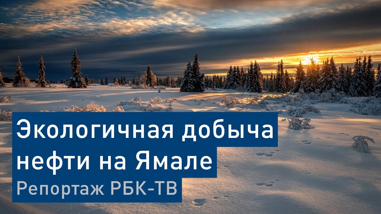 Как новейшие технологии помогают сохранять природу Ямала