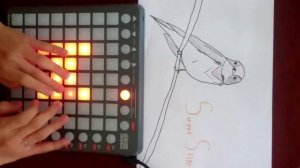 [런치패드]launchpad iphone metronome remix cover