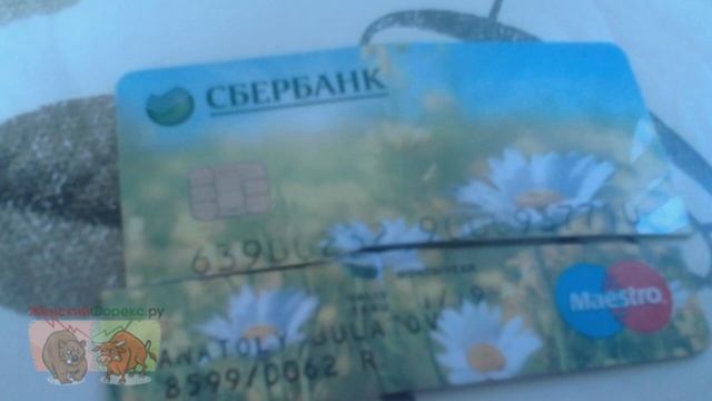 Что делать, если сломалась карта Сбербанка. Полезные советы