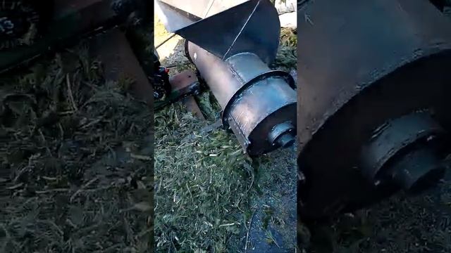 измельчитель для пихтоварки .