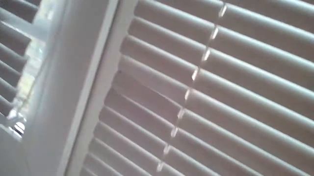 50 ПОДПИСЧИКОВ И 3 ФАН ВСТРЕЧА!!!!! смотреть онлайн