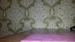 обзор на пистолет  G.29 с Валберес ??