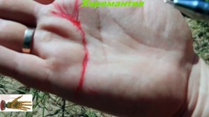 Ведическая Хиромантия Линия сердца. Любовные переживания Хиромантия