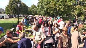 Выставка-ярмарка «Янтарная гроздь винограда-2020» прошла в Пинске