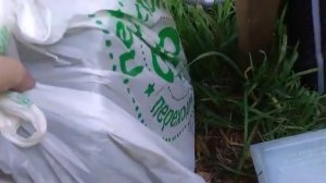 ОБЗОР/ Бензиновый триммер Минск БГ-4500/Витязь????  #триммер