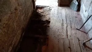 Деревянные полы в свинарнике спустя два года.