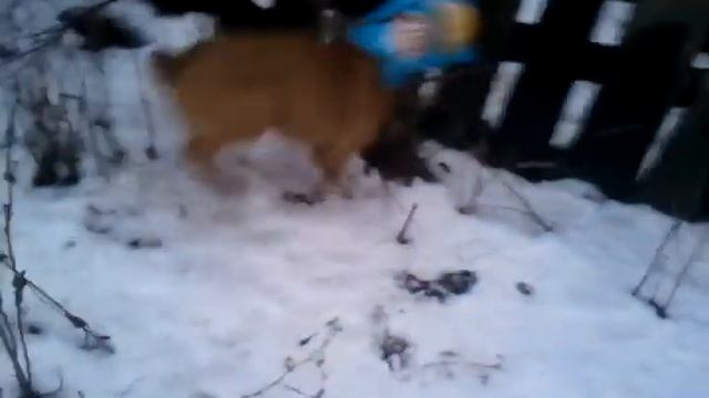 Реклама чипсов Lays смотреть онлайн