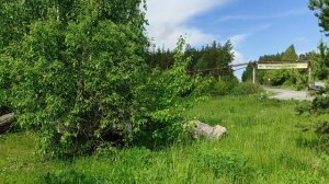 Сад камней в Кыштыме