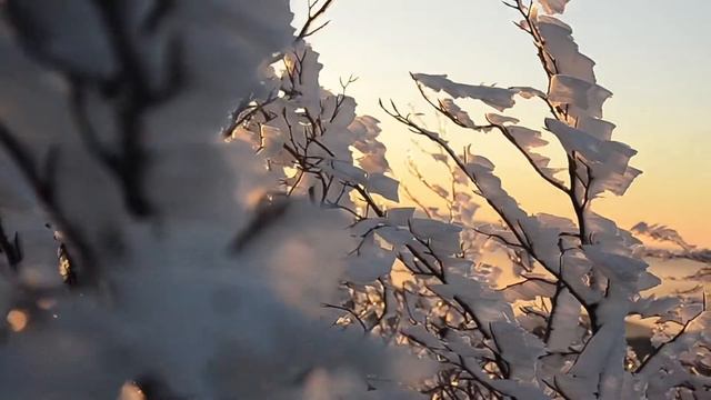 Зимнее солнцестояние 21.12.2021☀️❄️  #обряды #солнцестояние #декабрь #зимнеесолнцестояние #зима2022