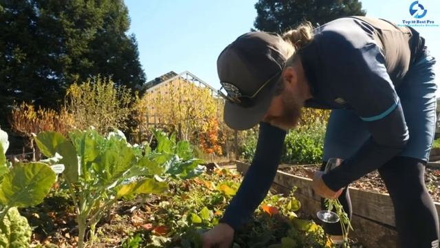 Top 10 Best Vlogging Cameras 2023 Reviews смотреть онлайн