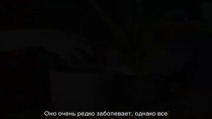 Почему у алоэ желтеют листья и сохнут кончики листьев