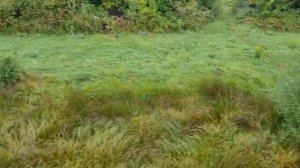 З вікна потягу, звук 2ТЕ10М, ASMR