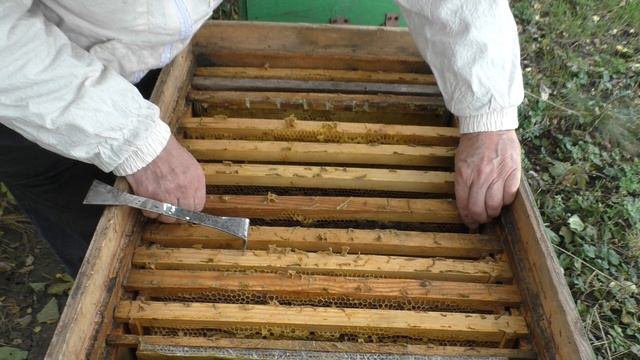 Окончательная СБОРКА ГНЕЗДА. Две МАТКИ в семье.#пчелыначинающим #пчелы смотреть онлайн