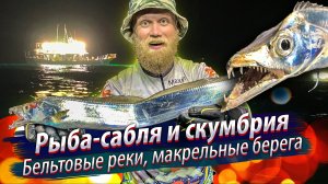 САБЛЕЗУБЫЕ АТАКУЮТ!!! Ночная морская рыбалка на рыбу-саблю и скумбрию.