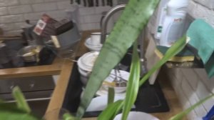 Клининг по-китайски!