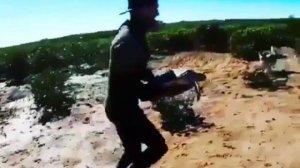 Мужик спас черепаху 👍 Босс ТВ