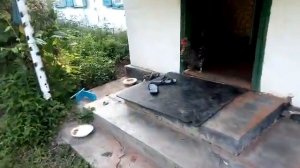 Обход хозяйства. Проверяю яблочный уксус, что с бройлерами, собираю огурцы