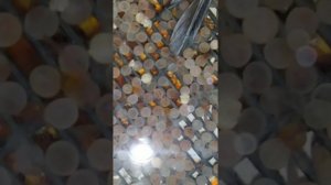 Вылупление малька рыбы с икры радужной форели ? #форель #икра #рыба