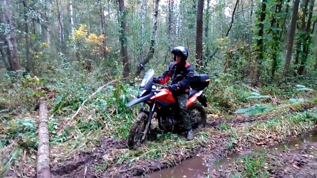 Drz400 and Racer 200 смотреть онлайн