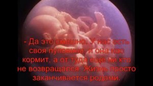 Разговор двух ещё не родившихся младенцев!