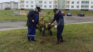 Порядок - дело общее // Кричевляне подготовили город к Дожинкам // Районный субботник в Кричеве