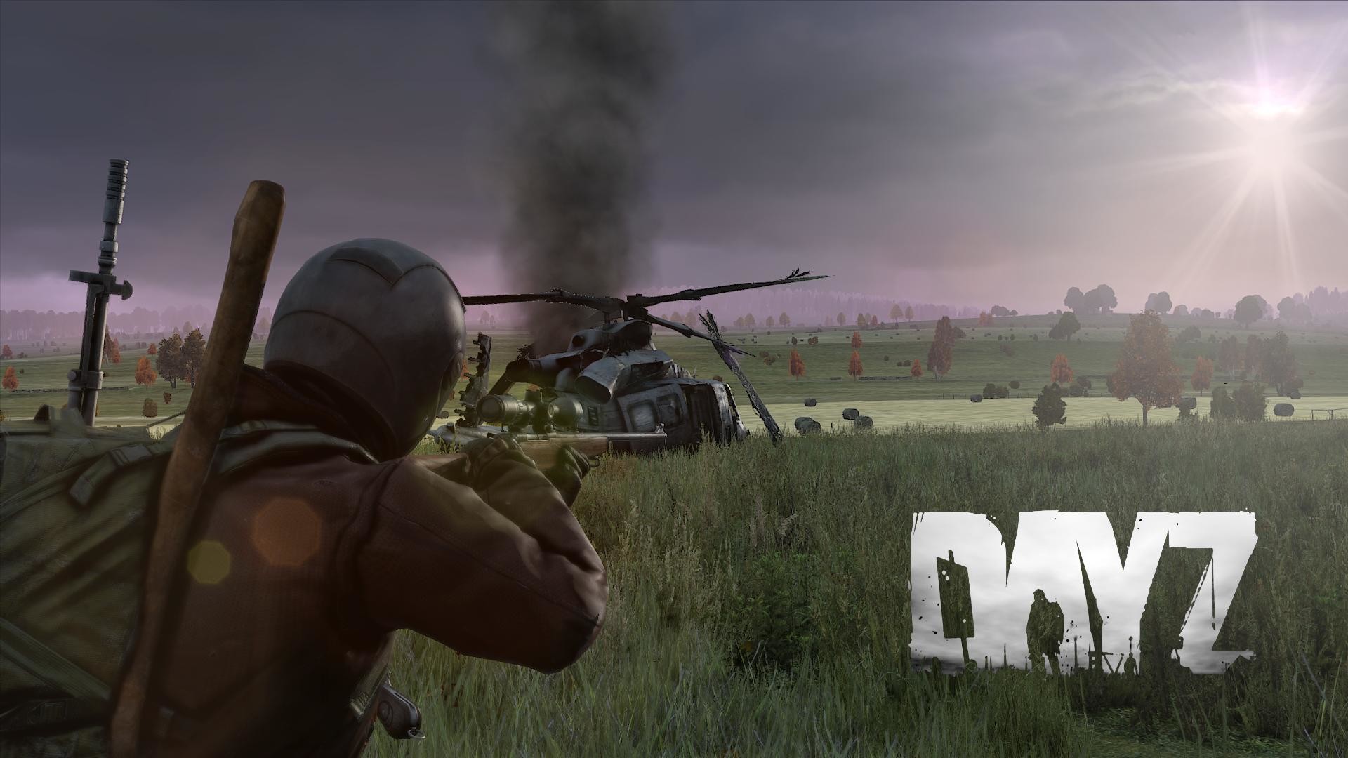 Steam с игрой dayz фото 98