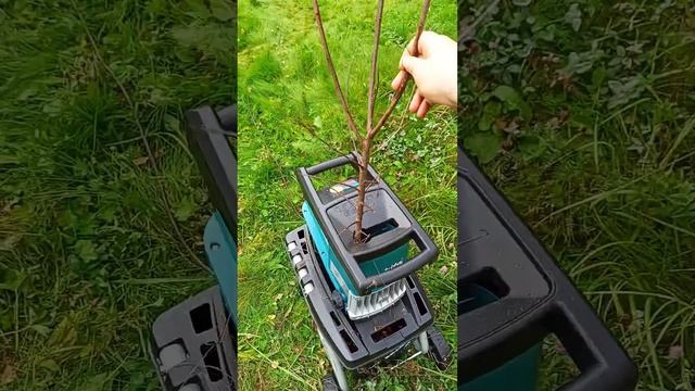 Садовый измельчитель веток Makita UD2500 #makita #дача #сад #ветки #измельчительветок #gardentool