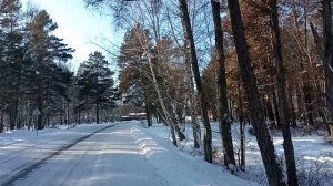 наше село зимой.