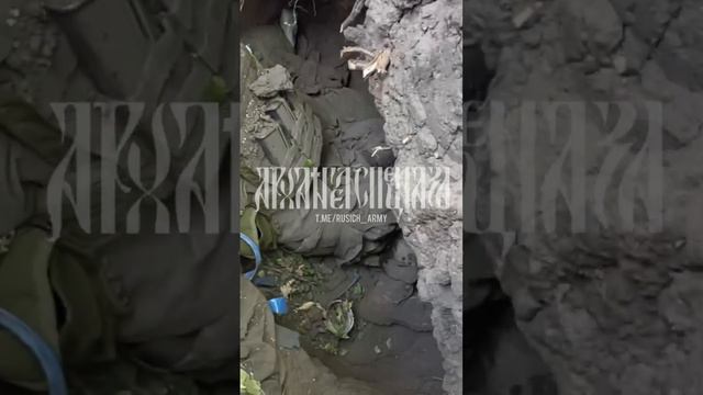 👼Курская область   56 полк ВДВ освободил н.п. Вишнёвка и н.п. 10 октября. Сейчас идут зачистки л...