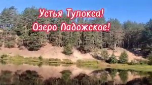 Устье Тулокса! Озеро Ладожское!