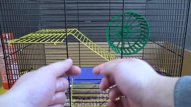 СИРИЙСКИЙ ХОМЯК | Забыли клетку... [День первый] смотреть онлайн